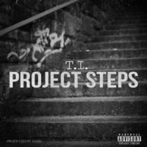Project Steps - Single